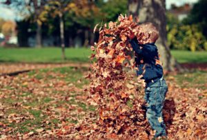 Lee más sobre el artículo Actividades infantiles de otoño